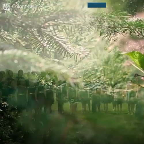 Comentarii opinii despre Gasthof Goldenes Schiff