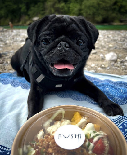 Pushi Poké & Açaí Bowls - Steyr