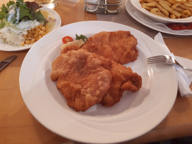 Comentarii opinii despre Haydnbräu