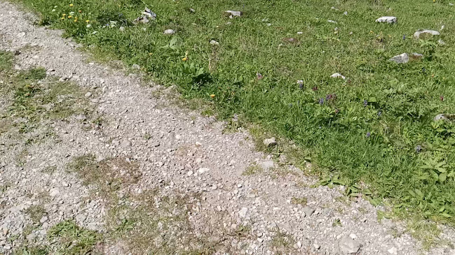 Ristorante Monte Verde