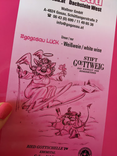 Gosauseestraße 793, 4824 Gosau