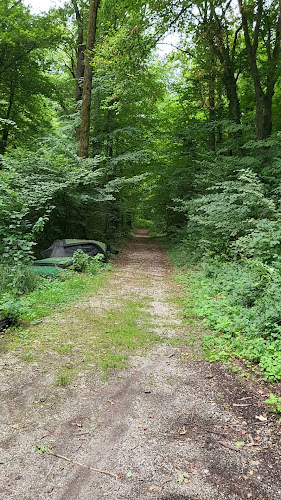 Opinii despre Pizzeria Magno Rif am Golfplatz în Rif - Gastronomie und Hotellerie