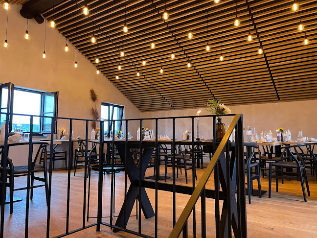 Comentarii opinii despre Franz von Grün