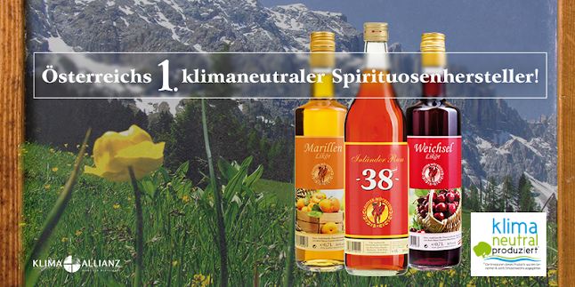 Opinii despre Gautier Mückstein & Ellinger GmbH în Wien - Gastronomie und Hotellerie