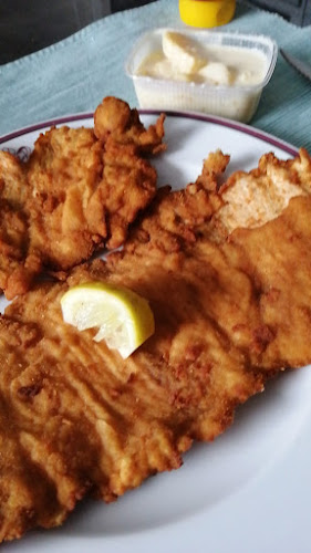 Comentarii opinii despre Schnitzleck