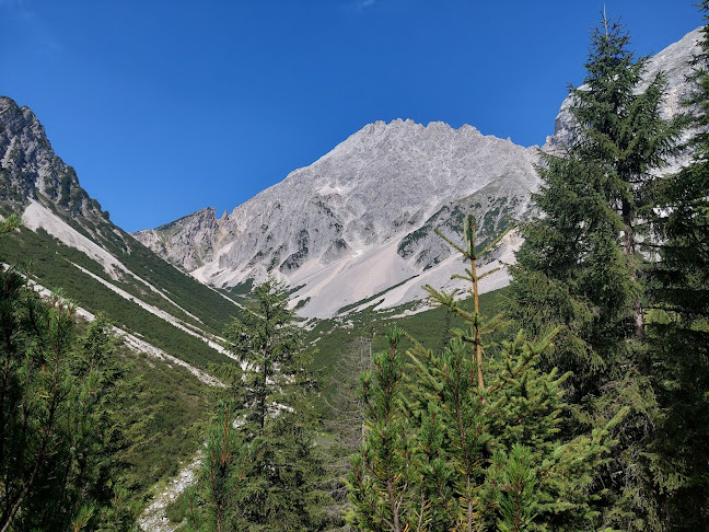 Comentarii opinii despre Neue Alplhütte