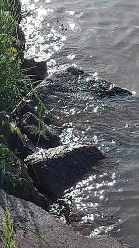 Wasserskischule Riess & Partner OEG - Gastronomie und Hotellerie