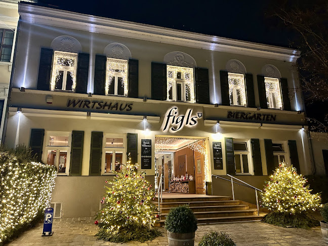 Comentarii opinii despre Figls