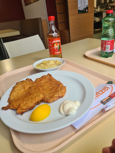 Comentarii opinii despre mySchnitzel