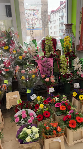 Blumen Mimo - Gastronomie und Hotellerie