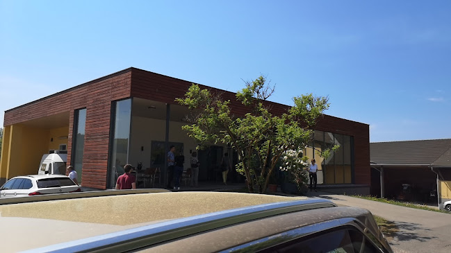 Opinii despre Kammerhof Spargel în St. Andrä - Gastronomie und Hotellerie