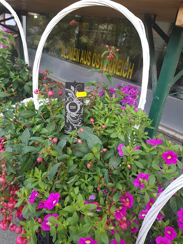 Opinii despre Blumen Dunja în Wien - Gastronomie und Hotellerie