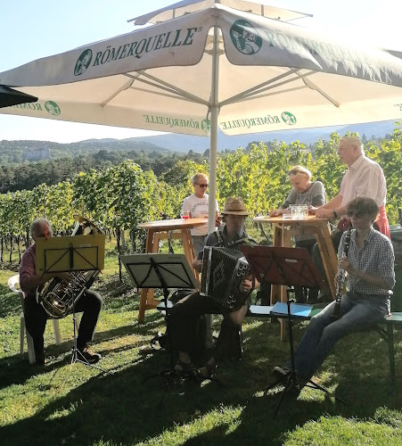 Opinii despre Weinlaube am Sieghartsberg în Brunn am Gebirge - Gastronomie und Hotellerie