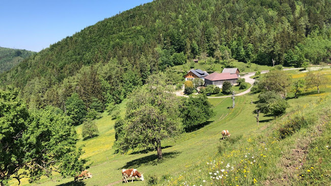 Gasthaus am Grasberg