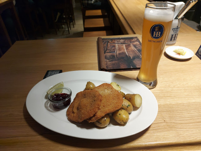 Hofbräu am Steinertor - Gastronomie und Hotellerie