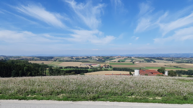 Gasthaus Alsergraben, Inh. Gertrude Zeilinger