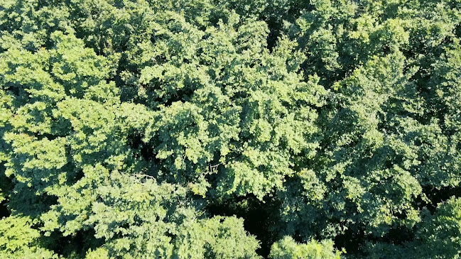 Opinii despre Terrazza - Restaurant am See în Pyhra - Gastronomie und Hotellerie