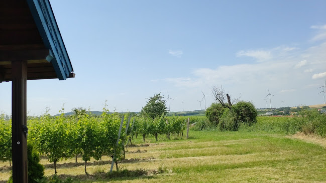 Panoramaheuriger Familie Schoderitz - Gastronomie und Hotellerie