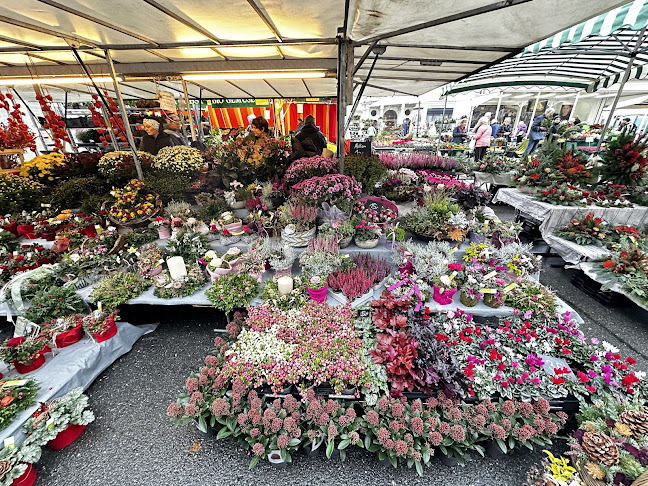Salzburger Schranne - Schrannenmarkt Salzburg - Gastronomie und Hotellerie