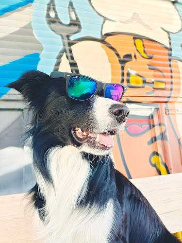 Friedrich Ganglberger-Straße 12, 2514 Traiskirchen