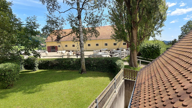 Restaurant Kierlingerhof - Gastronomie und Hotellerie