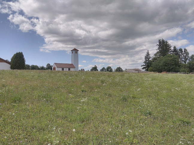 Comentarii opinii despre Landgasthaus Brunngraber