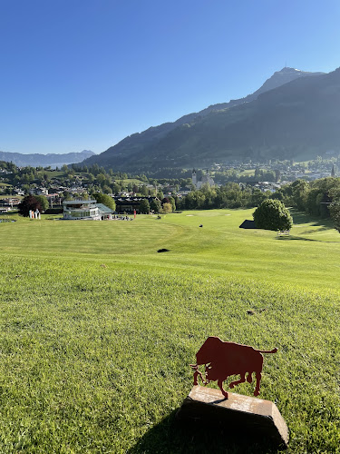 Hermann Reisch W. 16, 6370 Kitzbühel