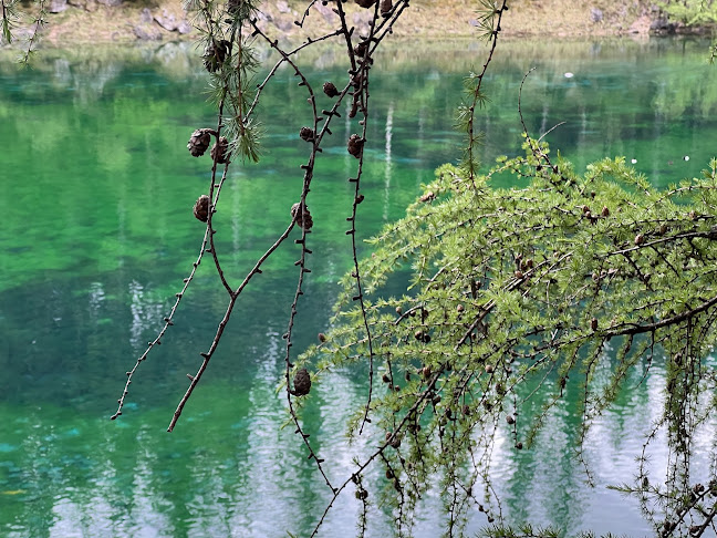 Oberort 8, 8612 Oberort