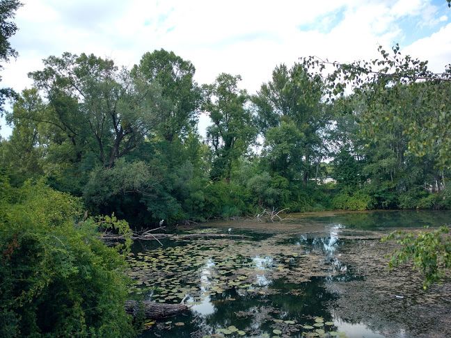 Comentarii opinii despre Ströck - Gänsehäufel