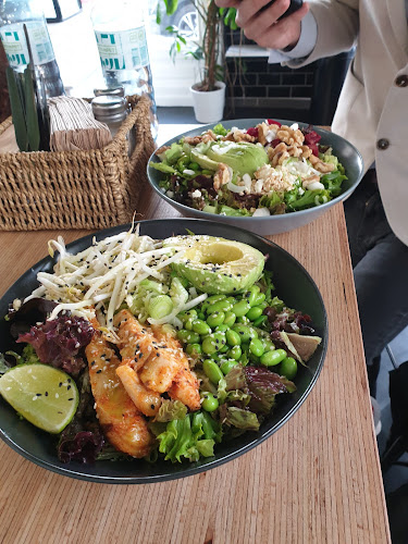 Salad Jungle - Gastronomie und Hotellerie