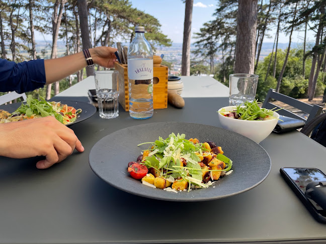 Opinii despre Die Alm by Rabina în Eisenstadt - Gastronomie und Hotellerie