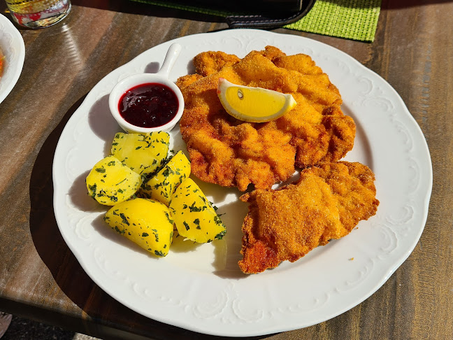 Opinii despre Wirt Meilersdorf în Meilersdorf - Gastronomie und Hotellerie
