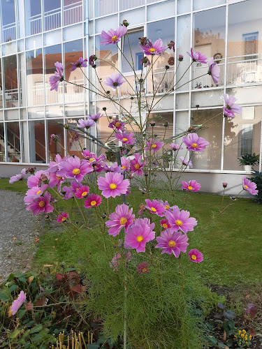 Comentarii opinii despre Bäckerei & Konditorei Forstner