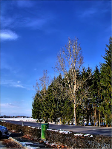 Gasthaus zur Dorftaverne