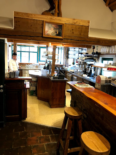 Comentarii opinii despre Lipizzaner Franzl