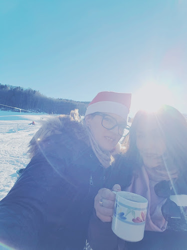 Comentarii opinii despre Wildmooslift