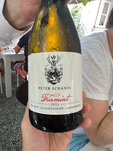 Gut Purbach - Gastronomie und Hotellerie