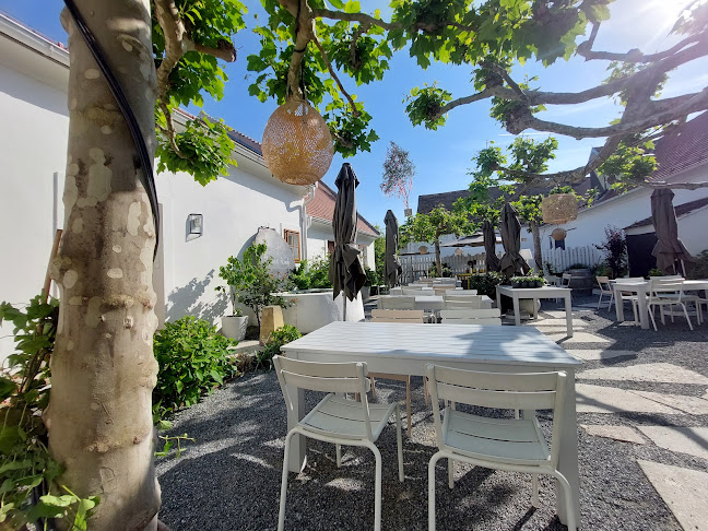 Gut Purbach - Purbach am Neusiedler See