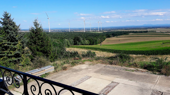 Zum Wirt´n am Steinberg - Zistersdorf