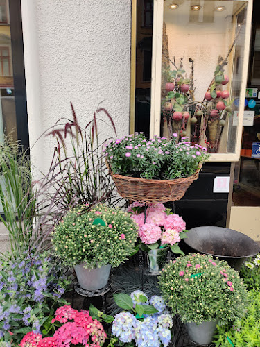 Währinger Str. 5/7, 1090 Wien