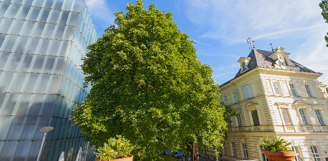 Restaurant Kornmesser - Gastronomie und Hotellerie