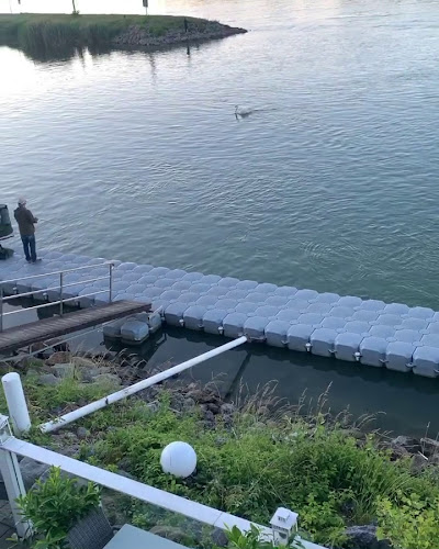 Comentarii opinii despre Flamingo Marina Kuchelau