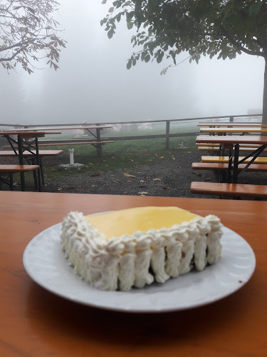 Comentarii opinii despre Alpe Schwende