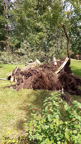 Opinii despre Parkcafé Knittelfeld în Knittelfeld - Gastronomie und Hotellerie