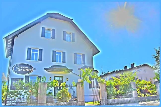 Comentarii opinii despre TRATTORIA LEVANTE