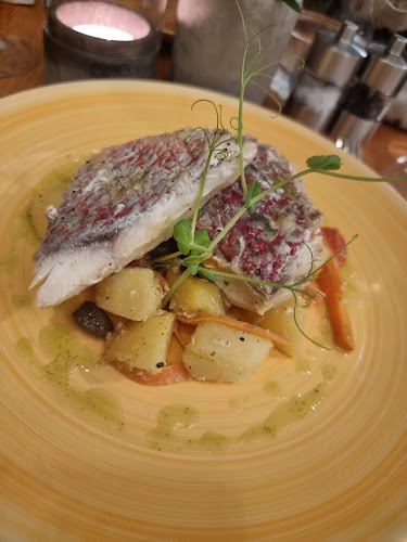 Comentarii opinii despre La Cocotte Italian Bistro