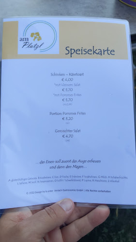 Comentarii opinii despre Amlach Gastronomie Am Platzl