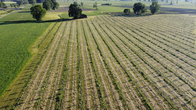 Dornbirner Str. 16a, 6890 Lustenau