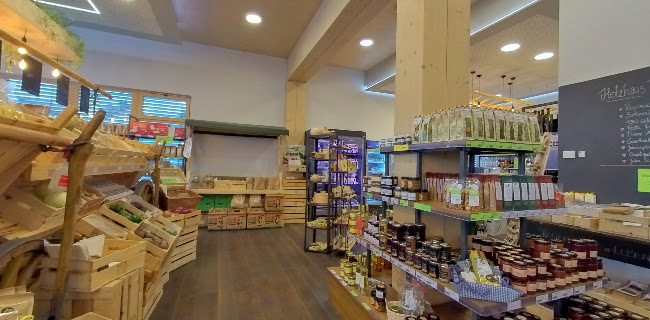 Comentarii opinii despre HOLZHAUS E1NS