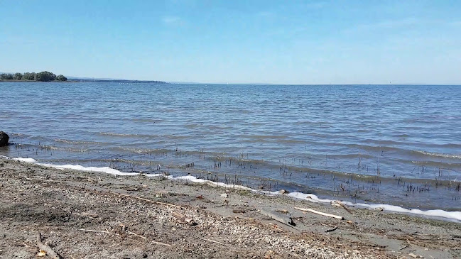 Opinii despre Seerestaurant Glashaus în Höchst - Gastronomie und Hotellerie